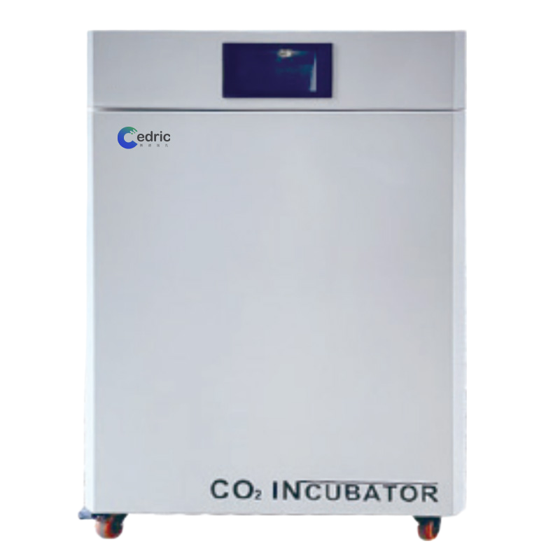 CO2 Incubator 