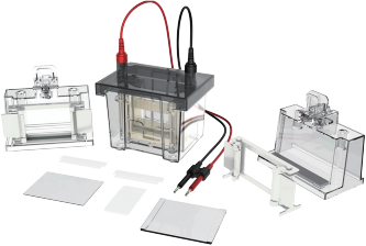 Vertical electrophoresis tank (double plate) CD-Mini01