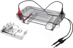 Horizontal Electrophoresis Tank CD-SUB01