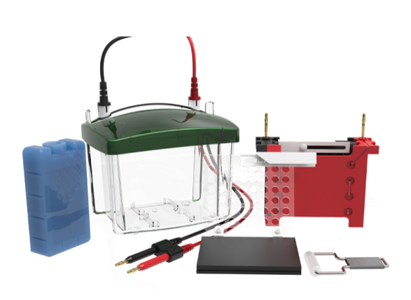Transfer Electrophoresis Tank CD-ZY03 (Dual Gels)