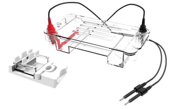 Agarose Horizontal Electrophoresis Tank CD-H01