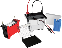 Transfer electrophoresis tank CD-ZY02