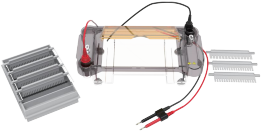 Multi-functional Horizontal Electrophoresis Tank CD-SUB03
