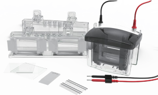 Vertical electrophoresis tank CD-MINI04